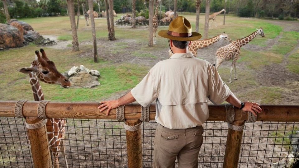Az „Állatkert álomban” az élet sokszínűségére és belső állataink harmóniájára utalhat.