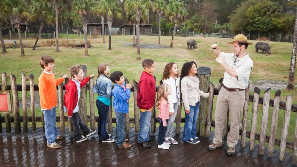 Az „Állatkert álomban” az élet sokszínűségére és belső állataink harmóniájára utalhat.