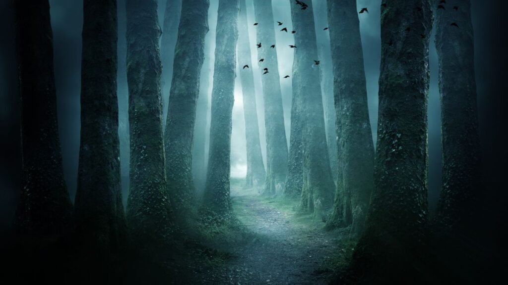 Sötét erdő fákkal, ködben és madarakkal, álomfejtés szimbóluma.