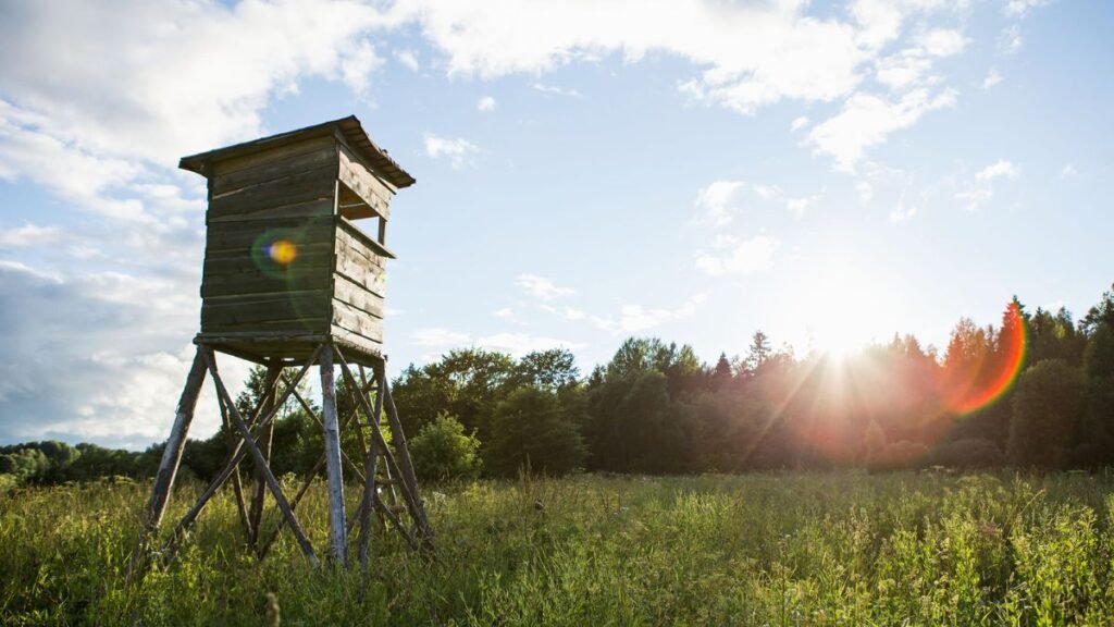 Egy vadászles áll a zöld mezőn, háttérben erdő és naplemente.