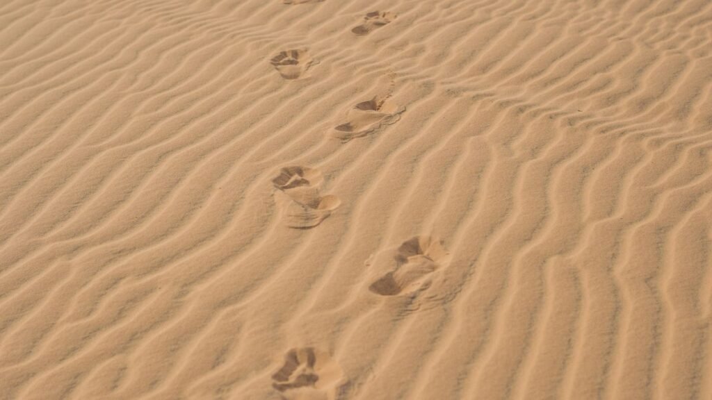 Homokos talajon hagyott lábnyomok, amelyek az utat jelképezik.