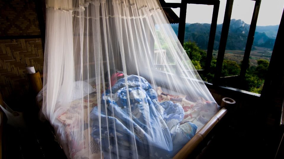 Egy szúnyogháló alatt alvó személy látható egy ágyban, gyönyörű tájjal a háttérben.